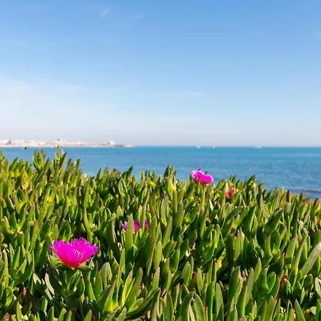 Fidalsa Spectacular Beachfront